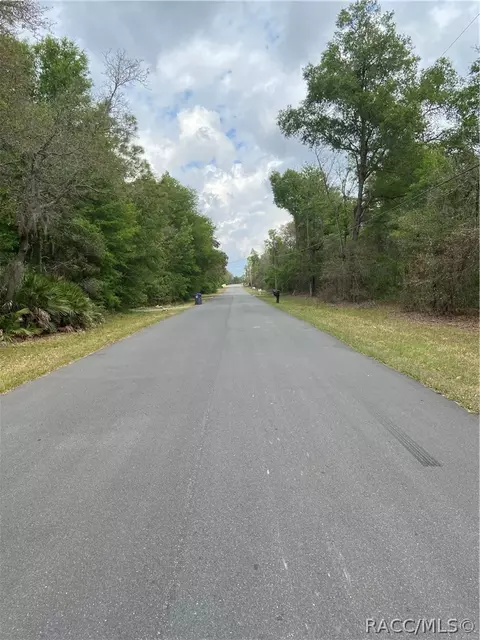 1219 E Winnetka St, Hernando, FL 34442 photo 4