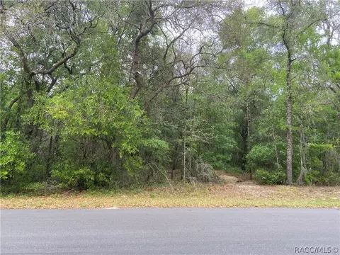 1219 E Winnetka St, Hernando, FL 34442 photo 1