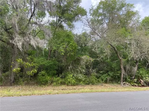 1219 E Winnetka St, Hernando, FL 34442 photo 2