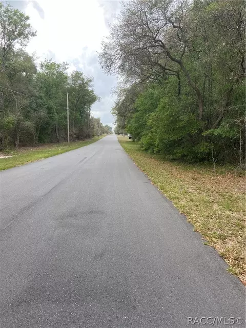 1219 E Winnetka St, Hernando, FL 34442 photo 3