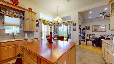 1625 N Sandwedge Pt, Hernando, FL 34442 photo 13