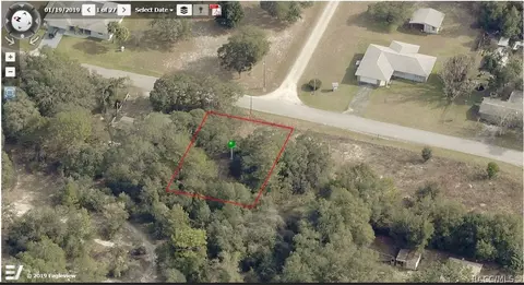 6388 N Flower Ter, Hernando, FL 34442 photo 1