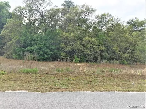 6388 N Flower Ter, Hernando, FL 34442 photo 4