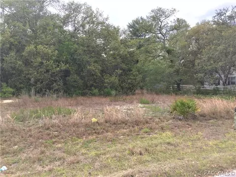 6388 N Flower Ter, Hernando, FL 34442 photo 5