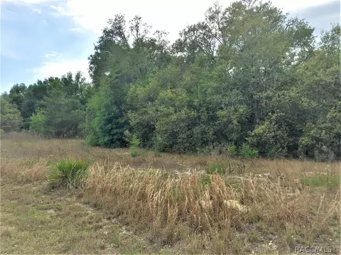 6388 N Flower Ter, Hernando, FL 34442 photo 6