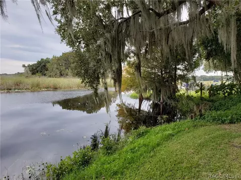 2301 N Lakefront Dr, Hernando, FL 34442 photo 3