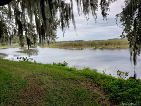 2301 N Lakefront Dr, Hernando, FL 34442 photo 2