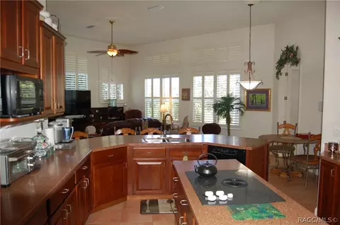 1694 N Dimaggio Path, Hernando, FL 34442 photo 35