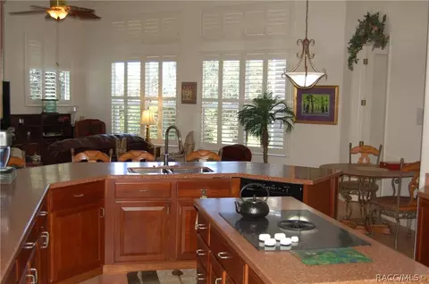 1694 N Dimaggio Path, Hernando, FL 34442 photo 37