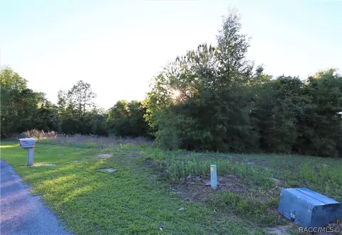 4109 N Ringwood Cir, Hernando, FL 34442 photo 3