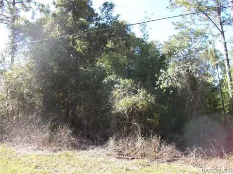 1284 E Hobart Ln, Hernando, FL 34442 photo 4
