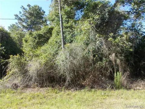 1284 E Hobart Ln, Hernando, FL 34442 photo 1