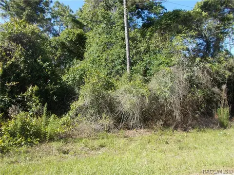 1284 E Hobart Ln, Hernando, FL 34442 photo 3