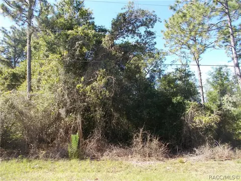 1284 E Hobart Ln, Hernando, FL 34442 photo 2