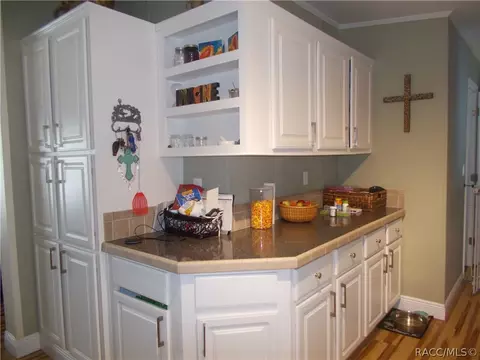 3487 E Olive Ln, Hernando, FL 34442 photo 9