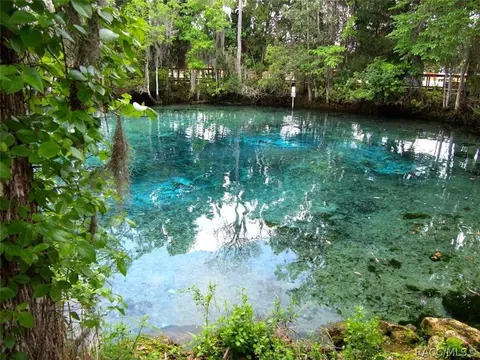 1809 E Monopoly Loop, Inverness, FL 34453 photo 49
