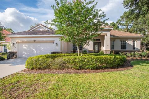 1695 N Sky Glen Path, Hernando, FL 34442 photo 1