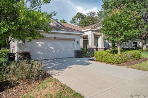 1695 N Sky Glen Path, Hernando, FL 34442 photo 41