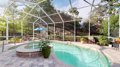 1695 N Sky Glen Path, Hernando, FL 34442 photo 32