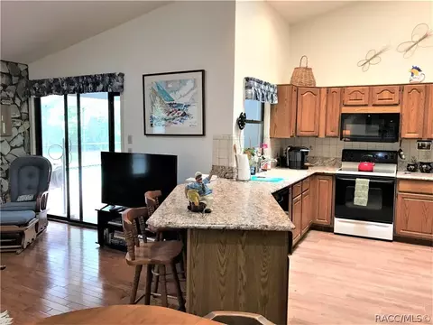 670 W Pearson St, Hernando, FL 34442 photo 23