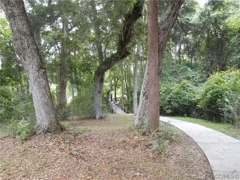 15865 W River Rd, Inglis, FL 34449 photo 42