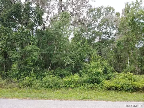 5994 E Willow St, Inverness, FL 34452 photo 2