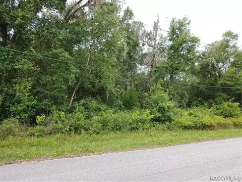 5994 E Willow St, Inverness, FL 34452 photo 4