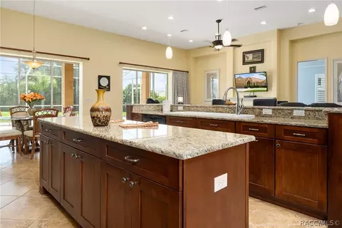 1511 N Ridge Meadow Path, Hernando, FL 34442 photo 11