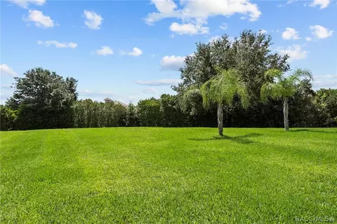 1511 N Ridge Meadow Path, Hernando, FL 34442 photo 37