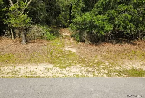 2584 Leesburg Ave, Hernando, FL 34442 photo 11