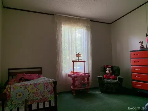 4237 E Amherst St, Hernando, FL 34442 photo 13