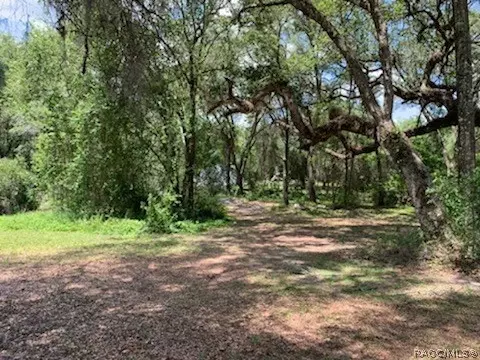 4237 E Amherst St, Hernando, FL 34442 photo 23