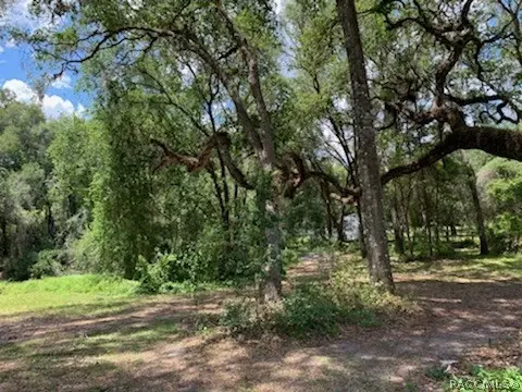 4237 E Amherst St, Hernando, FL 34442 photo 22