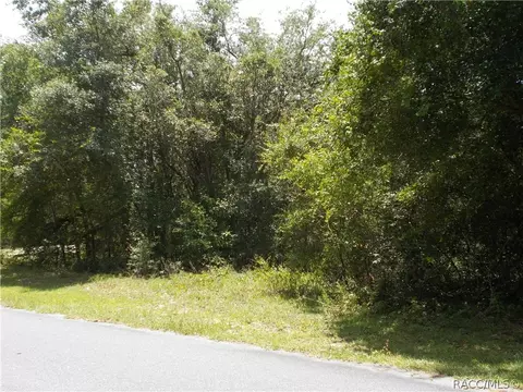 1646 E Wedgewood Ln, Hernando, FL 34442 photo 1
