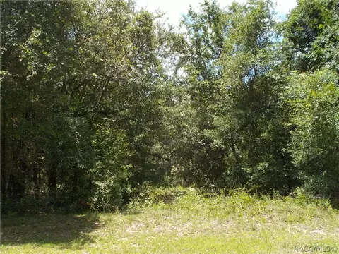 1646 E Wedgewood Ln, Hernando, FL 34442 photo 4