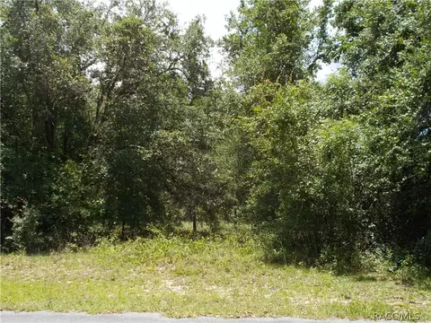 1646 E Wedgewood Ln, Hernando, FL 34442 photo 3