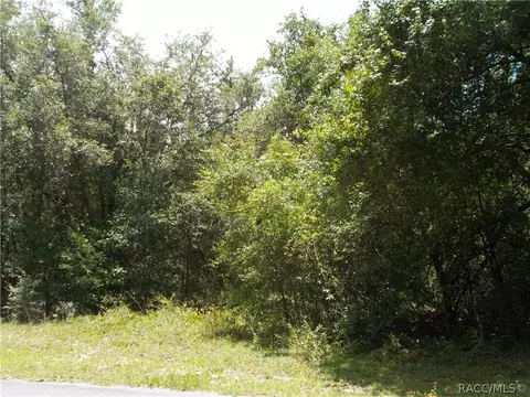 1646 E Wedgewood Ln, Hernando, FL 34442 photo 2