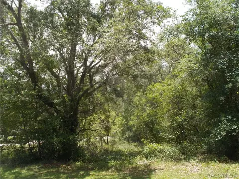 1646 E Wedgewood Ln, Hernando, FL 34442 photo 5