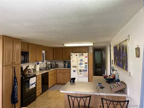 3900 N Bluewater Dr, Hernando, FL 34442 photo 15