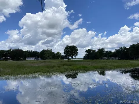3900 N Bluewater Dr, Hernando, FL 34442 photo 5
