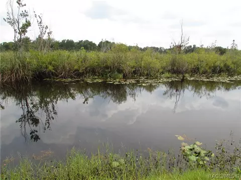 7710 E Rustic Trl, Inverness, FL 34453 photo 5