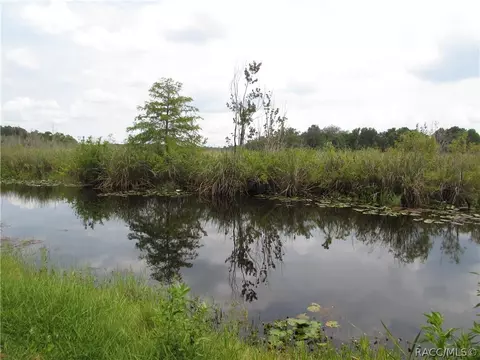 7710 E Rustic Trl, Inverness, FL 34453 photo 3
