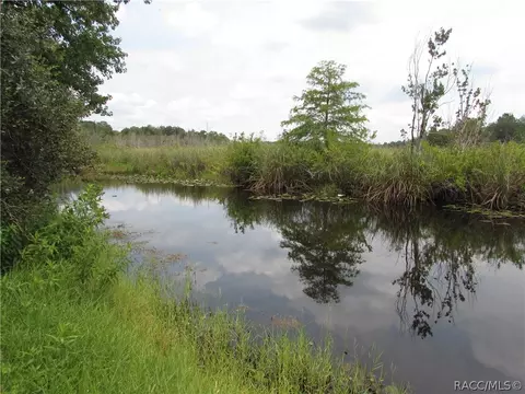 7710 E Rustic Trl, Inverness, FL 34453 photo 31