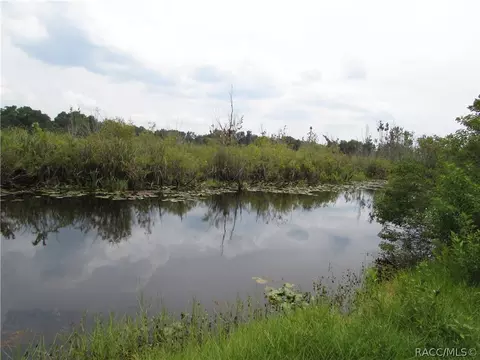 7710 E Rustic Trl, Inverness, FL 34453 photo 4