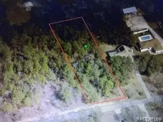 1669 E Mckinley St, Hernando, FL 34442 photo 3