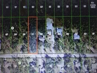 1669 E Mckinley St, Hernando, FL 34442 photo 1