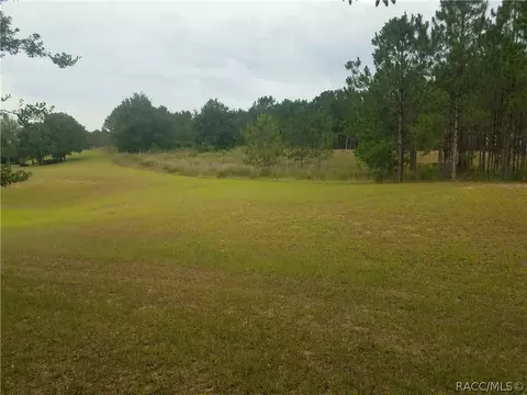 836 W Cockatiel Loop, Hernando, FL 34442 photo 18