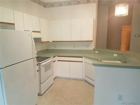836 W Cockatiel Loop, Hernando, FL 34442 photo 4