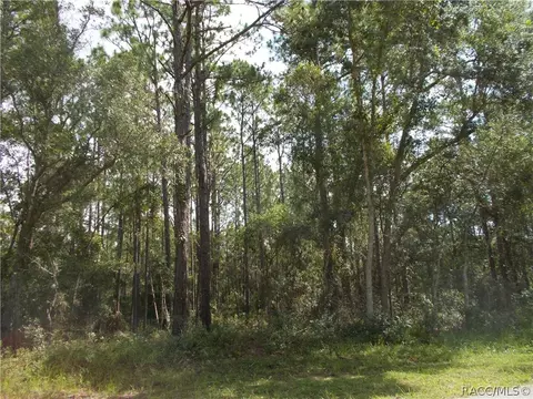 1853 W Stafford St, Hernando, FL 34442 photo 3