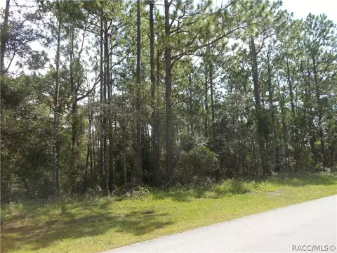 1853 W Stafford St, Hernando, FL 34442 photo 1